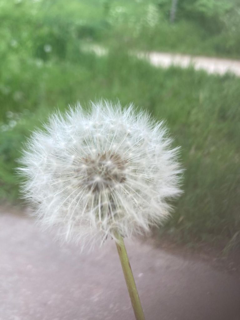 étymologie sophrologie - gestion du stress et des émotions Doucequilibre